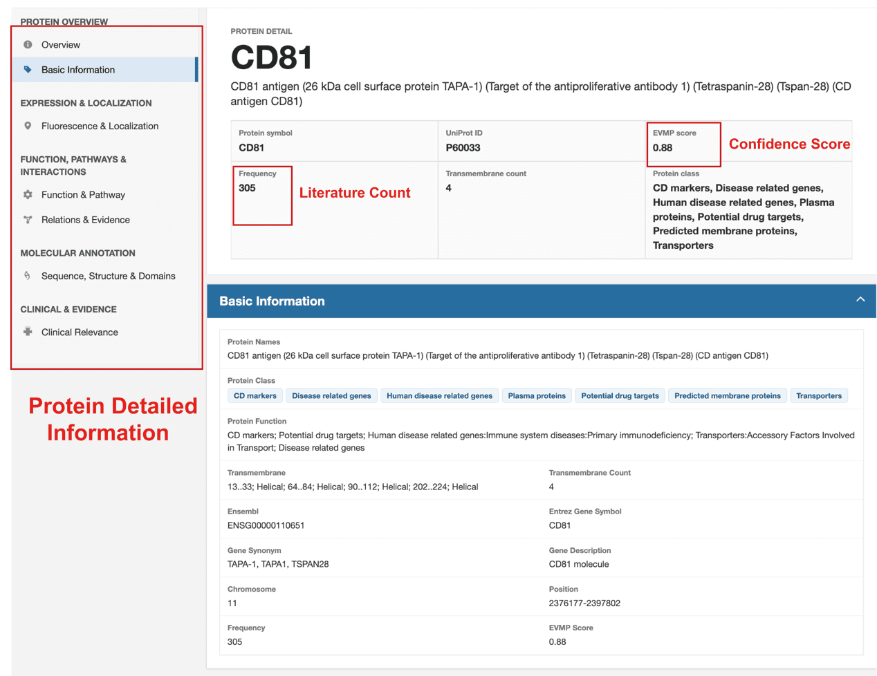 Protein detail page with external identifiers
