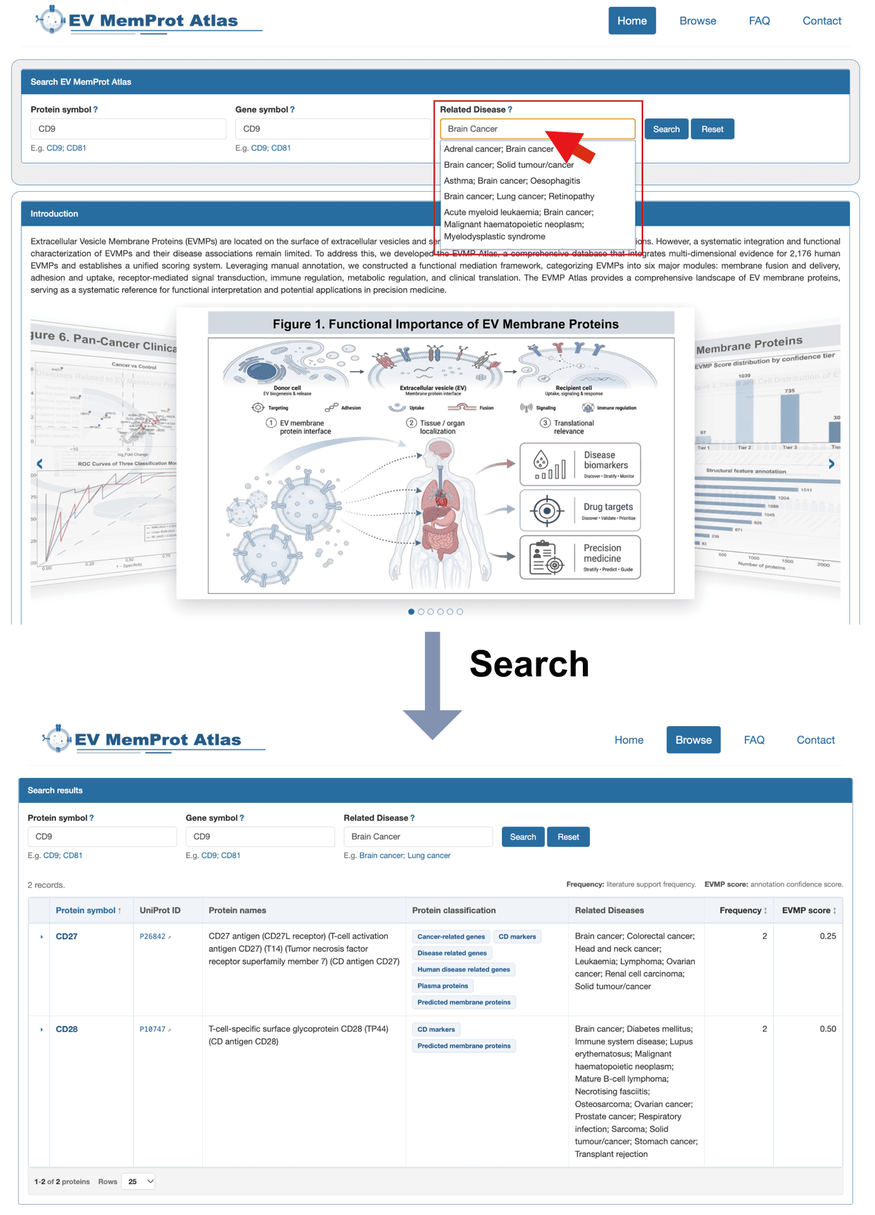 Search by related disease