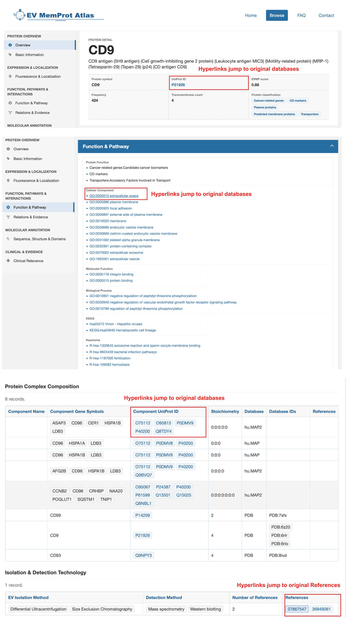 Single protein detail links and download