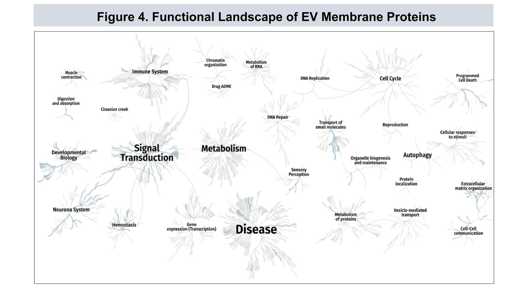 EV protein tissue and cell distribution details