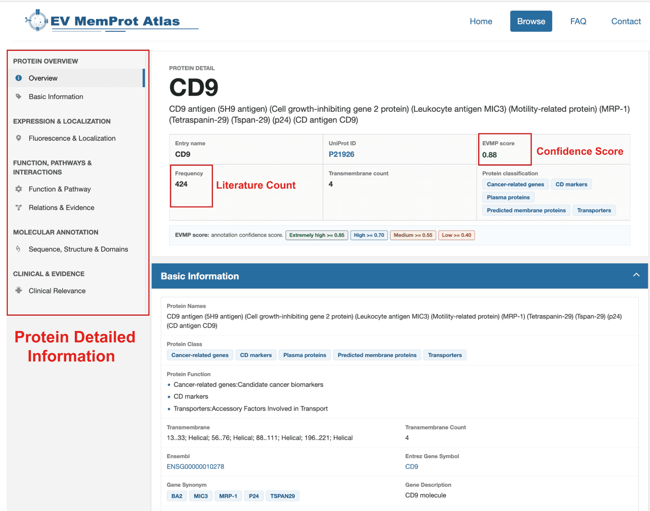 Protein detail page with external identifiers