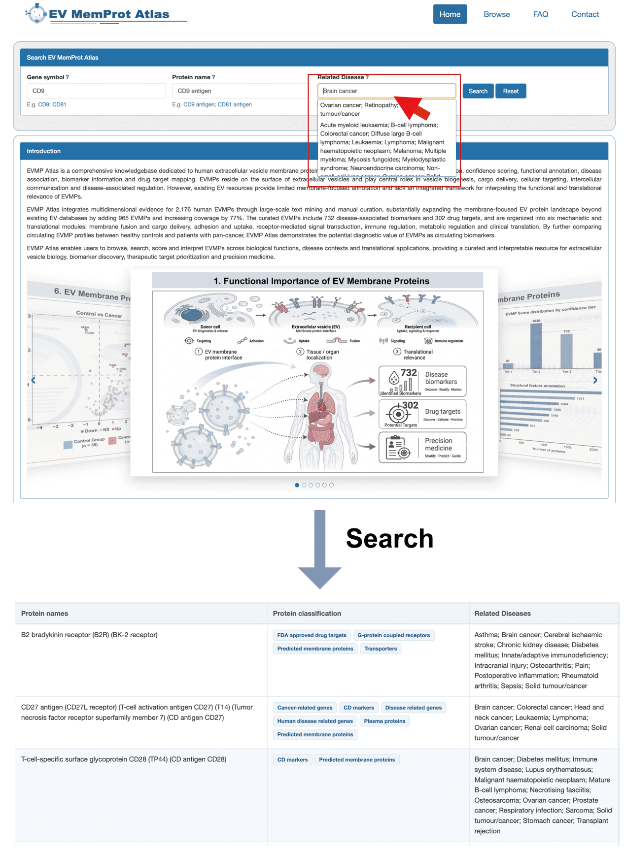 Search by related disease