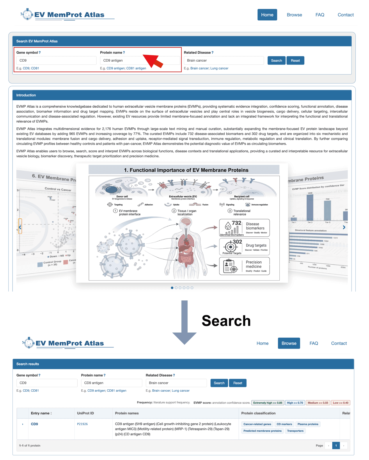 Search by gene symbol or protein name