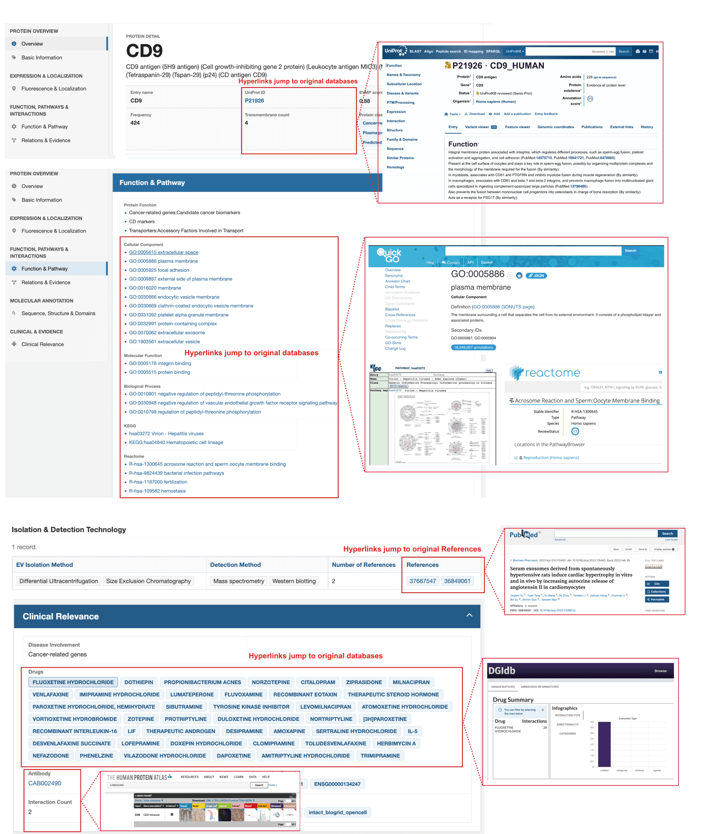 Single protein detail links and download