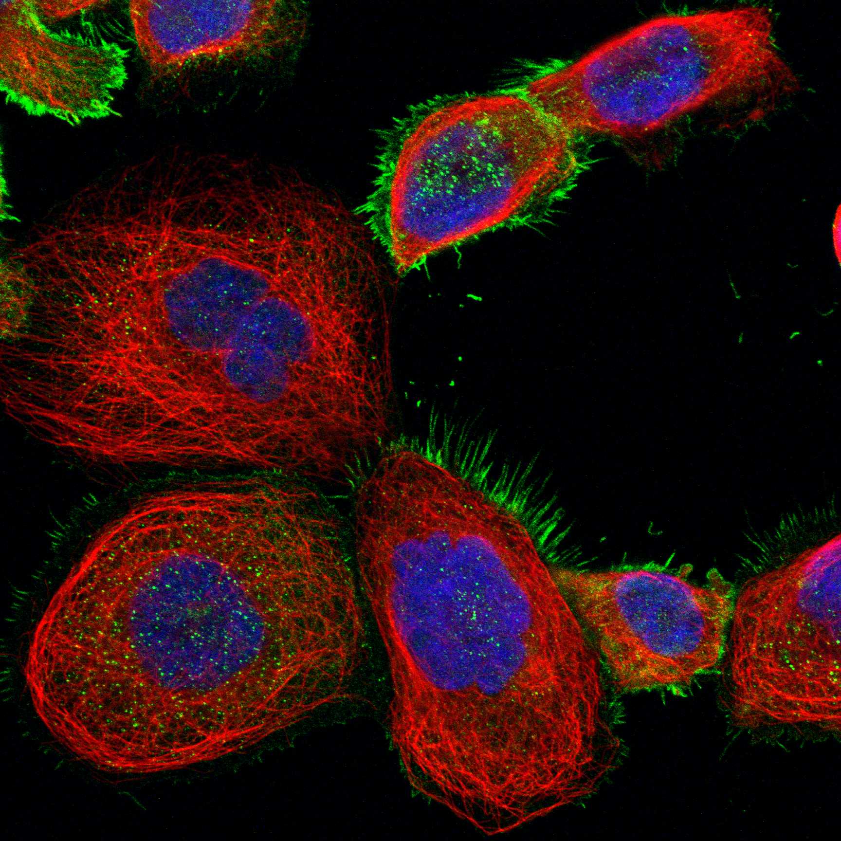 FCAR fluorescence