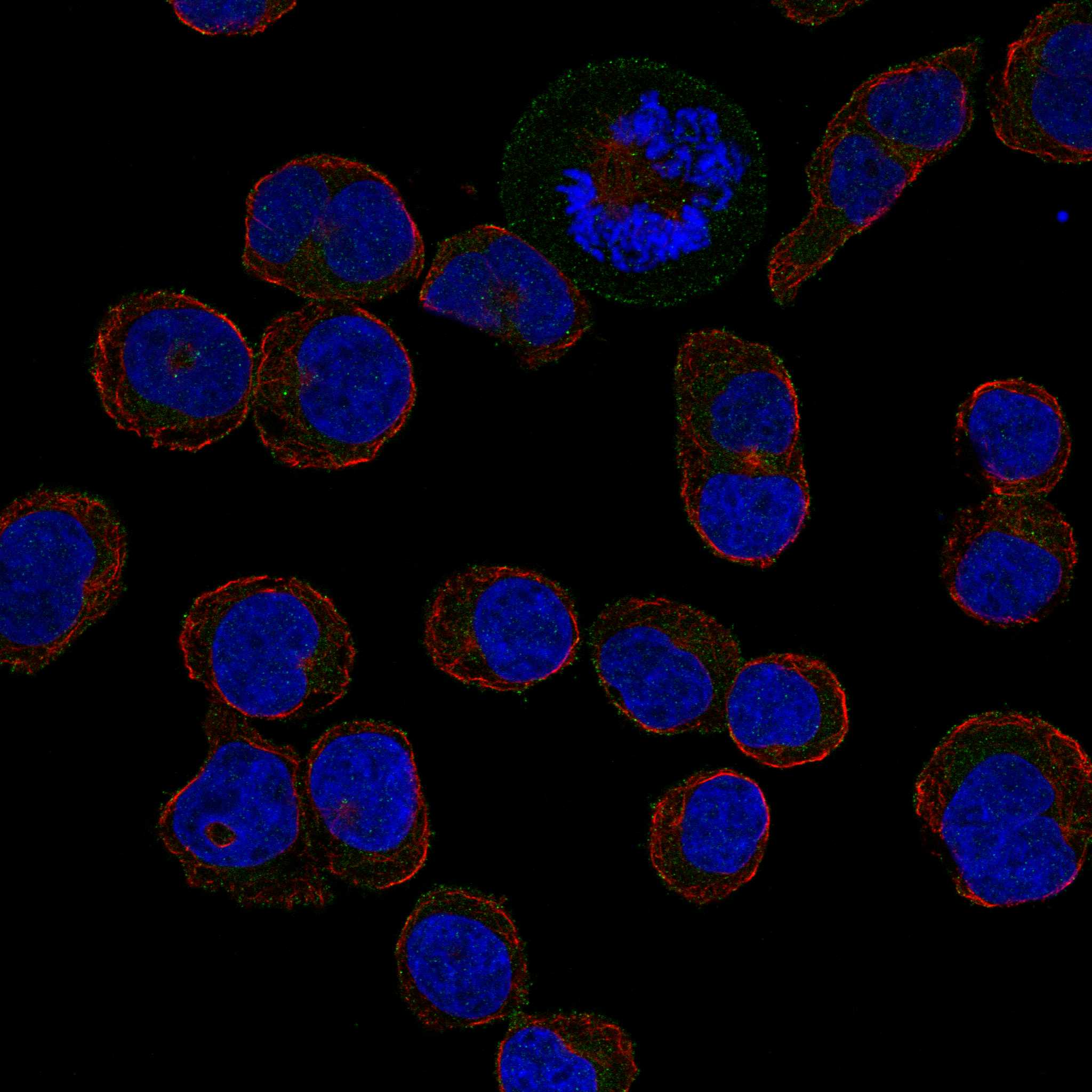 ICOS fluorescence