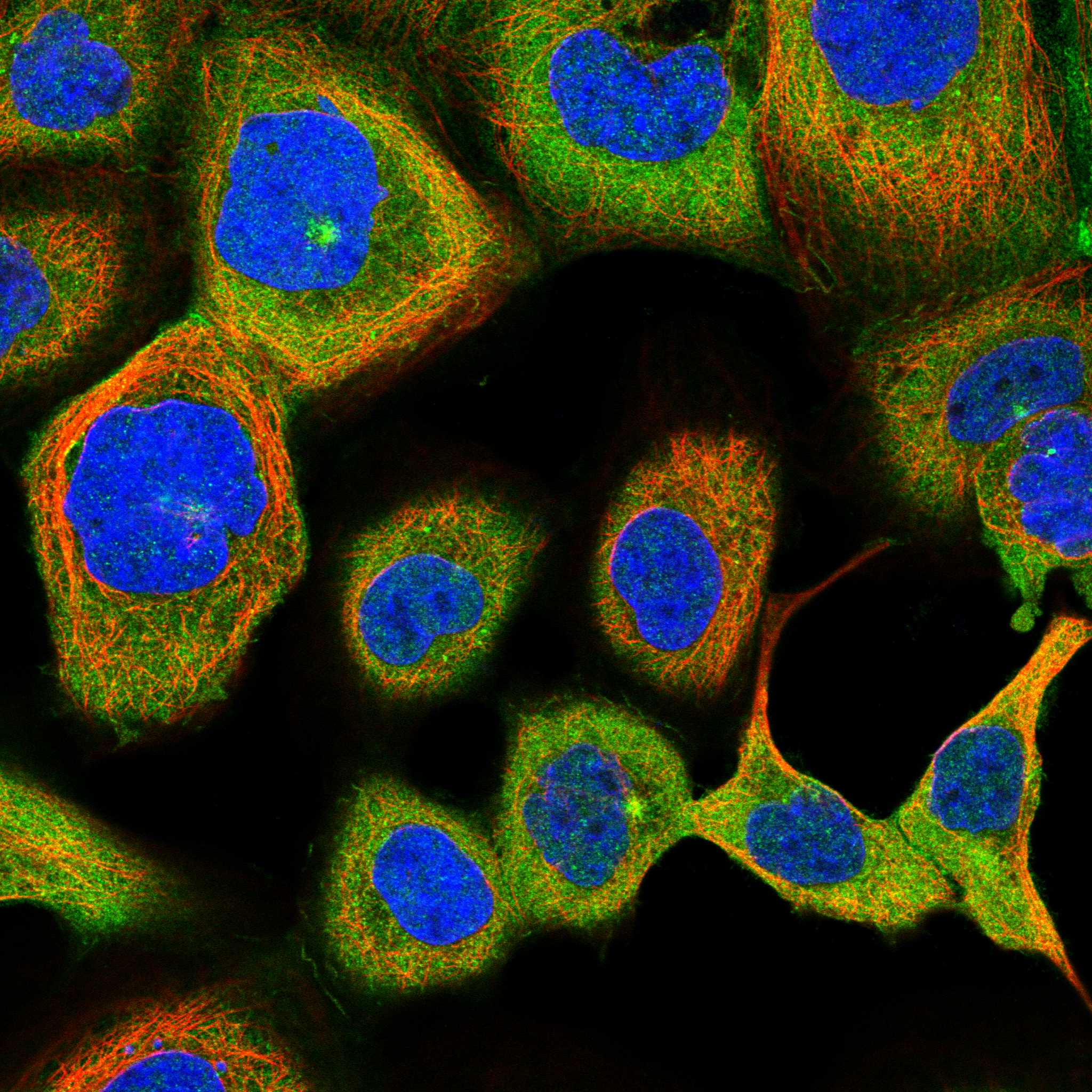 PXK fluorescence
