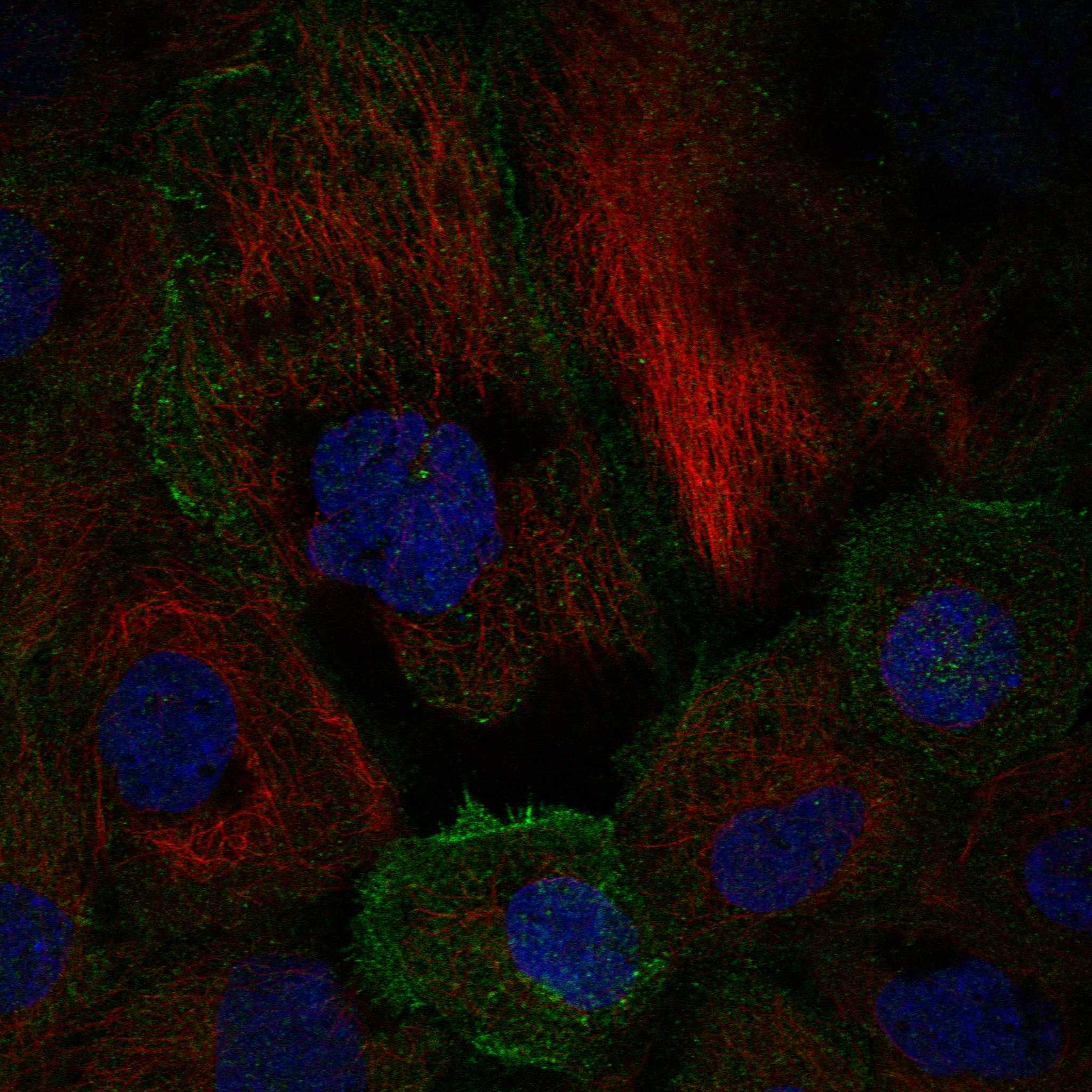 TEC fluorescence