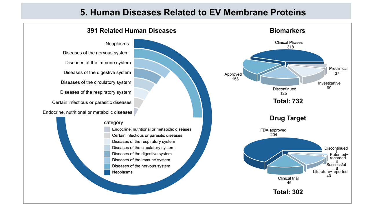 EV isolation and detection technologies